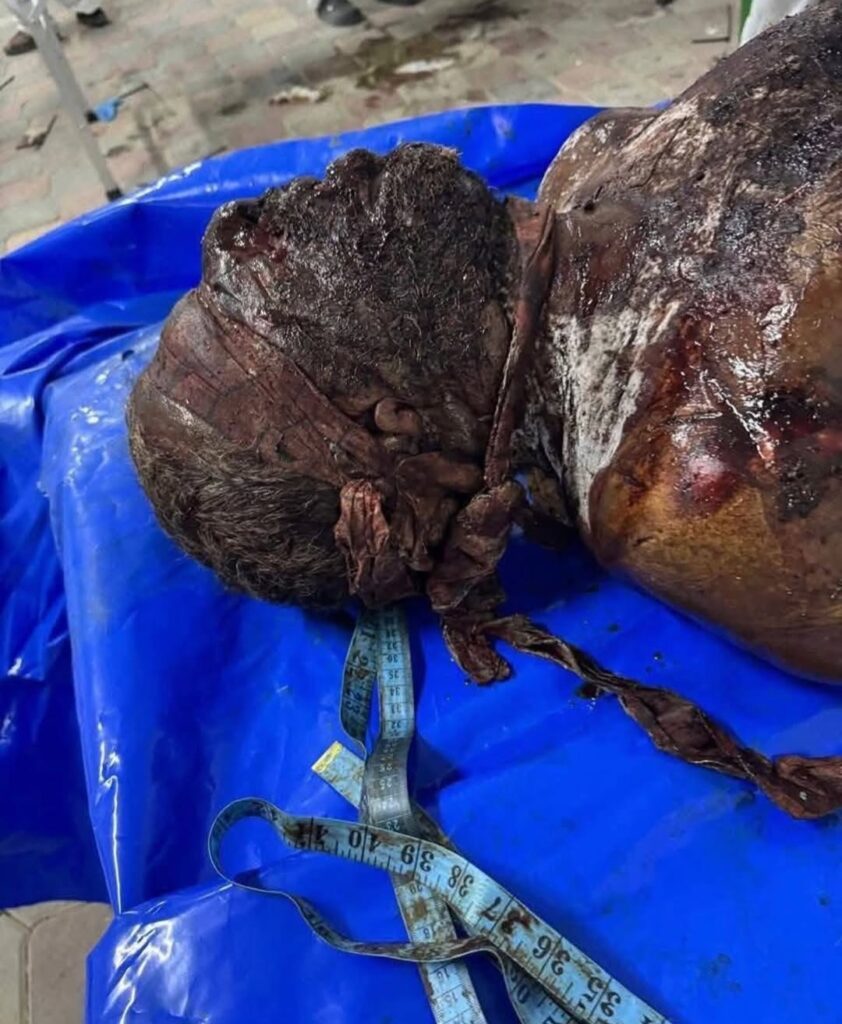 one of the corpses returned by israHell